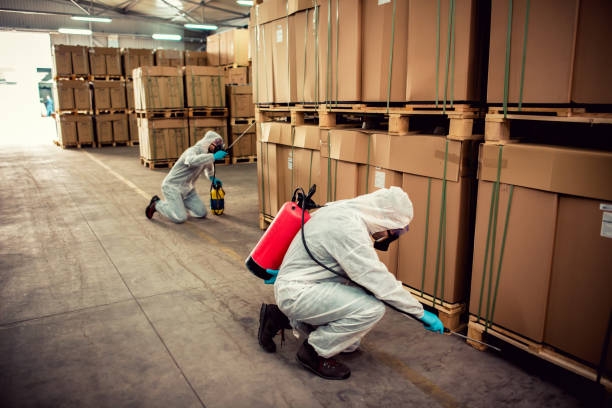 Best Termite Control Services  in Morrilton, AR