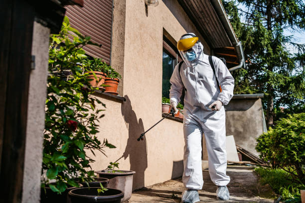 Best Local Pest Control Services  in Morrilton, AR