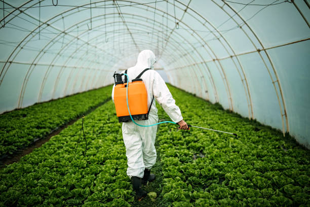 Best Commercial Pest Control Services  in Morrilton, AR