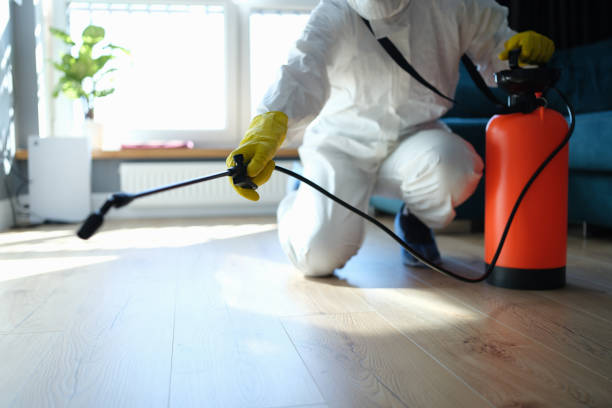 Best Bed Bug Extermination  in Morrilton, AR