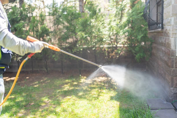 Reliable Morrilton, AR Pest Control Solutions