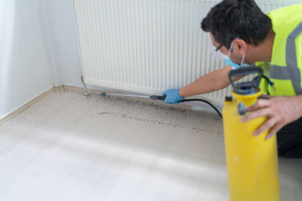 Best Flea Control Services  in Morrilton, AR